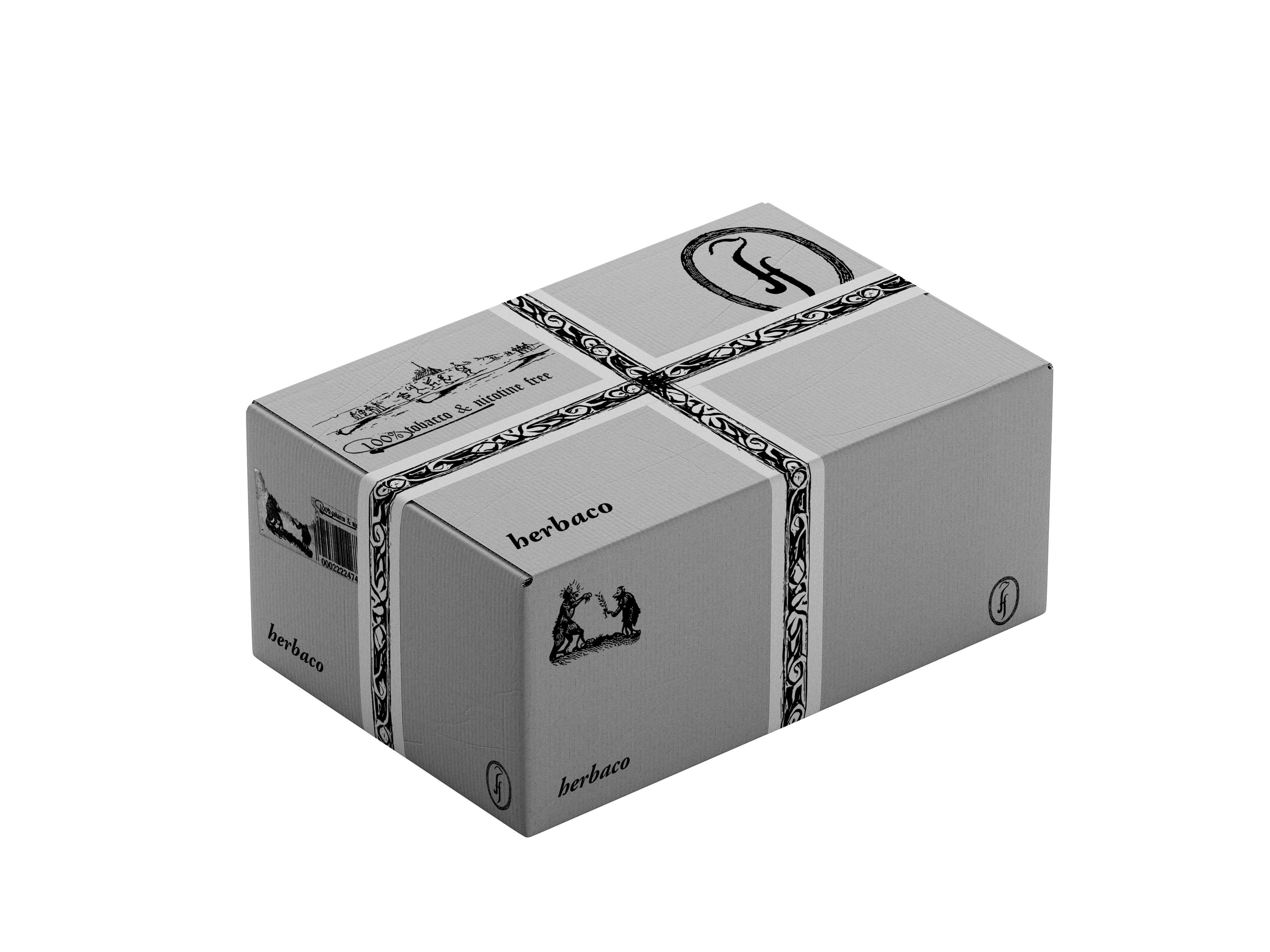 Taped_Cardboard_Box_Mockup_1.png