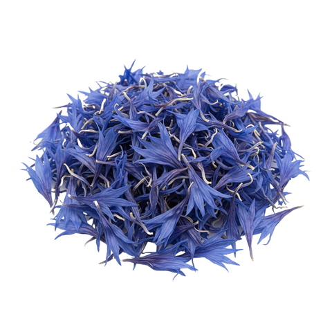 Cornflower