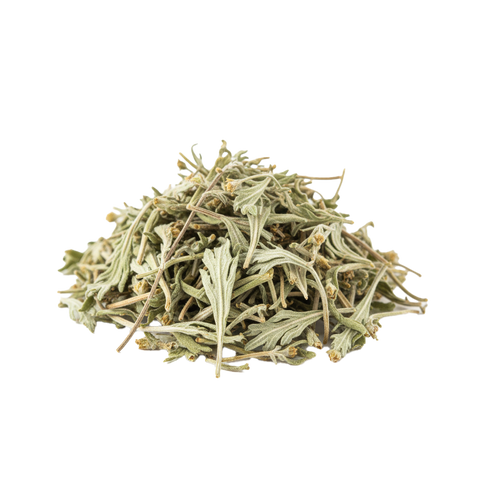 Mugwort