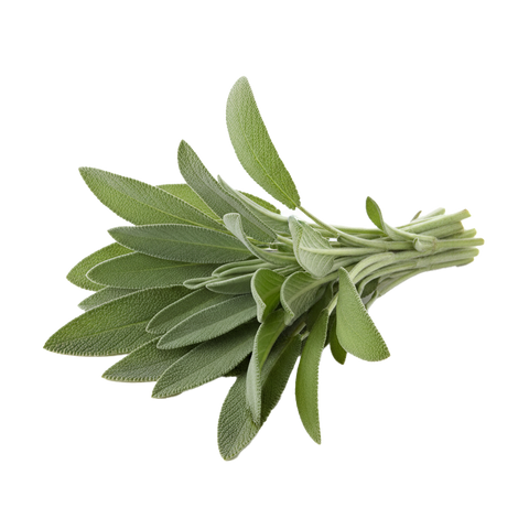 Sage